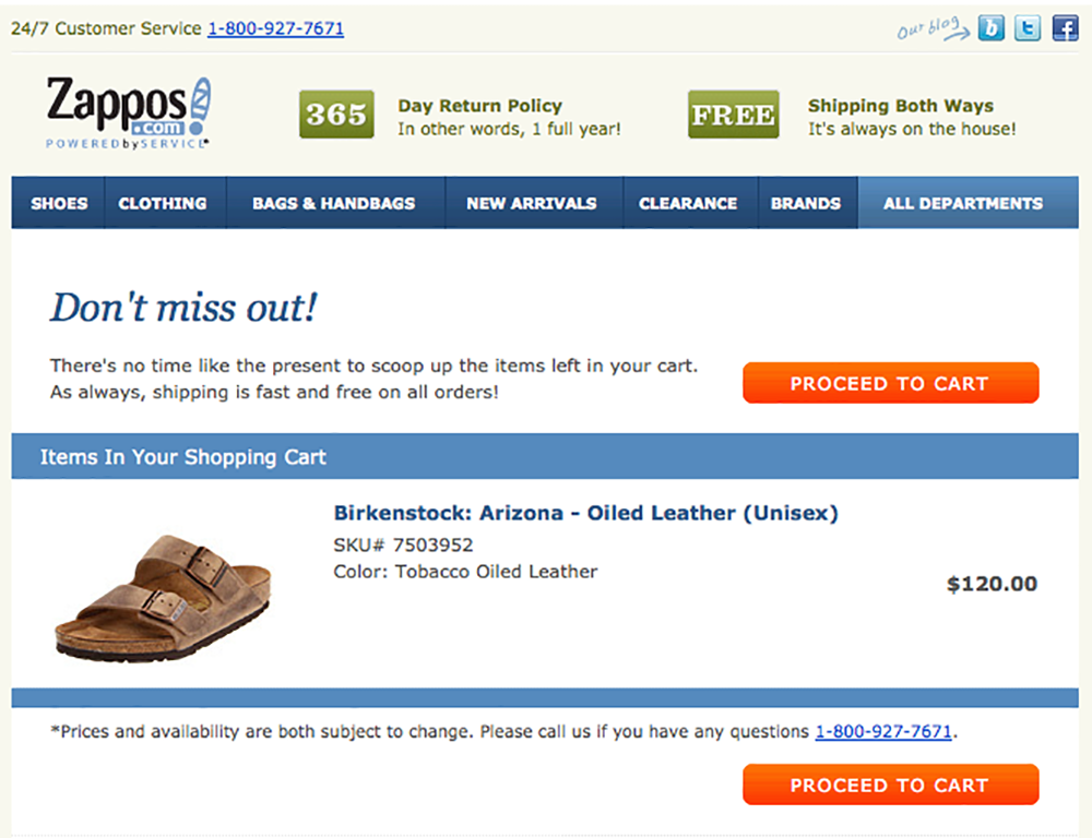 zappos-estore-email-shopping-cart-recovery-campaign-screenshot