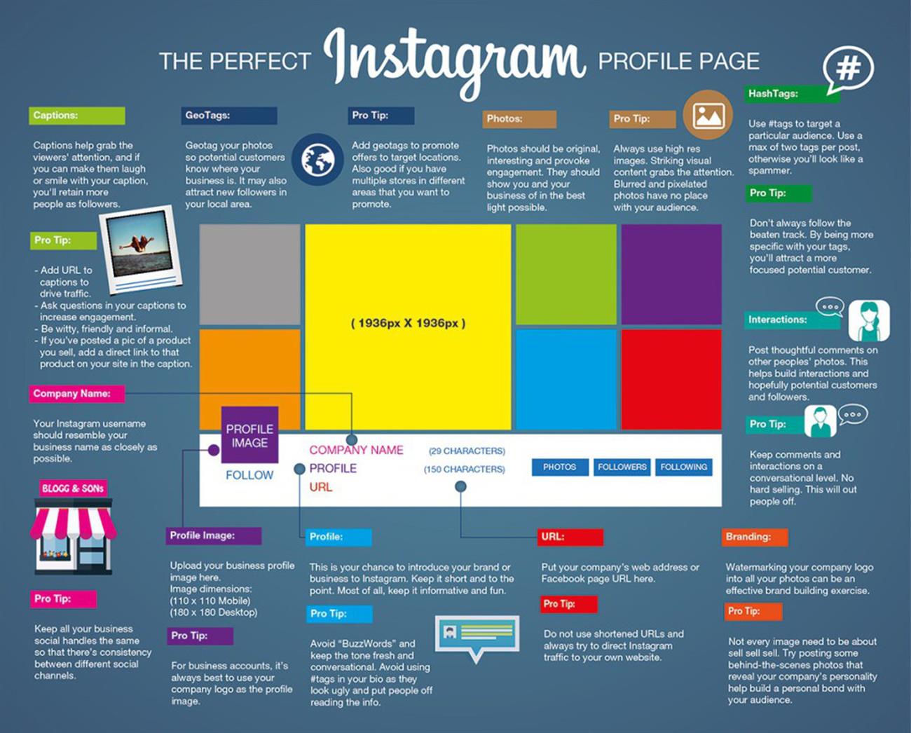 instagram infographic on how to create the perfect instagram profile - little dragon media